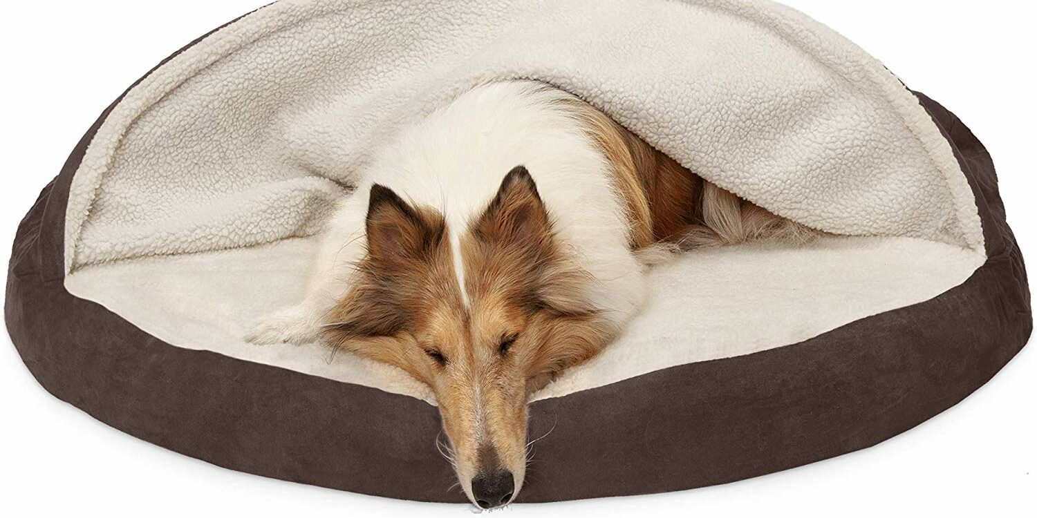 Orthopedic Pet Bed With Removable Cover My Inviting Home