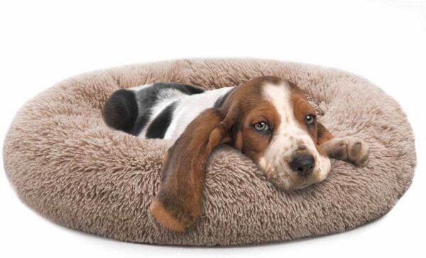 Orthopedic Dog Bed Donut Cuddler