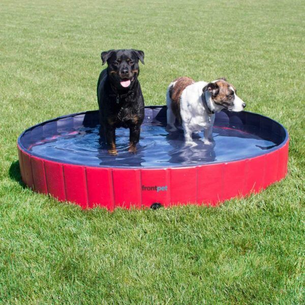 Foldable Collapsible Dog Wading Pool