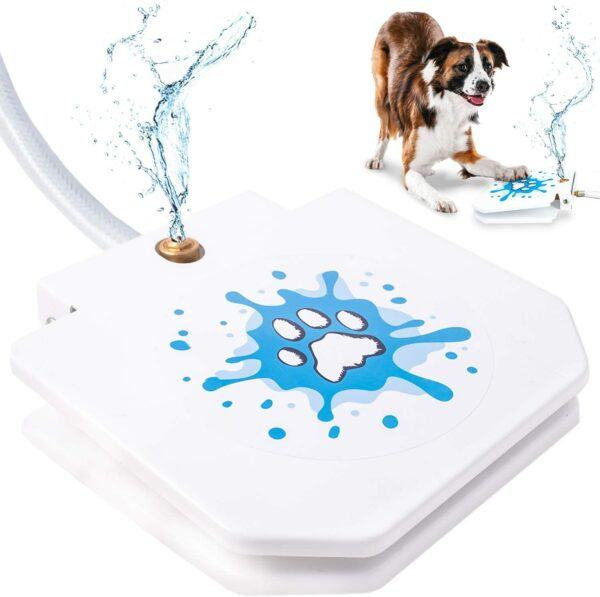 Interactive Water Fountain for Dogs