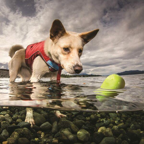 Water Fetch Floating Toy For Dogs