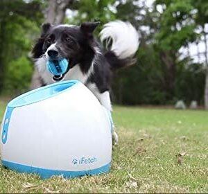Interactive Ball Launcher For Dogs