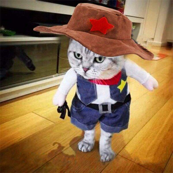 Cowboy Jacket Suit Cat Costume