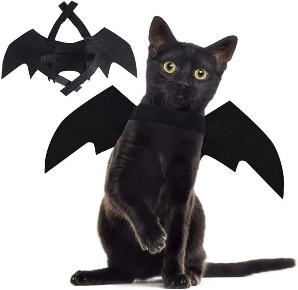 Halloween Pet Bat Wing Costume