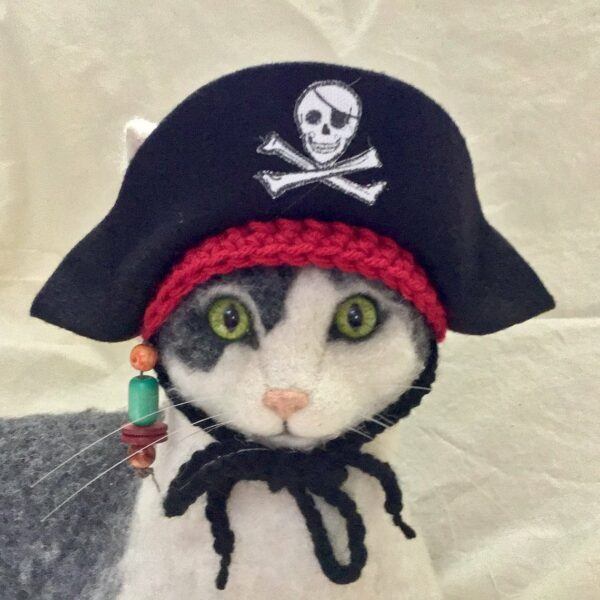 Jolly Roger Pirate Hat Cat Costume