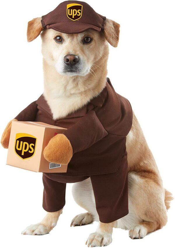 Special Delivery Pal Dog Costume