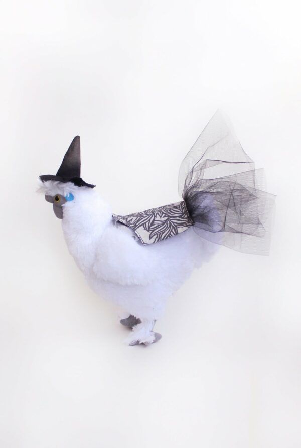 Halloween Witch Tutu For Chickens