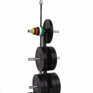 Two Bar And Bumper Plate Weight Tree