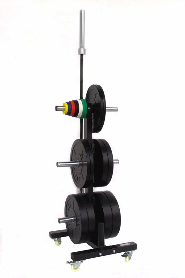 Two Bar And Bumper Plate Weight Tree